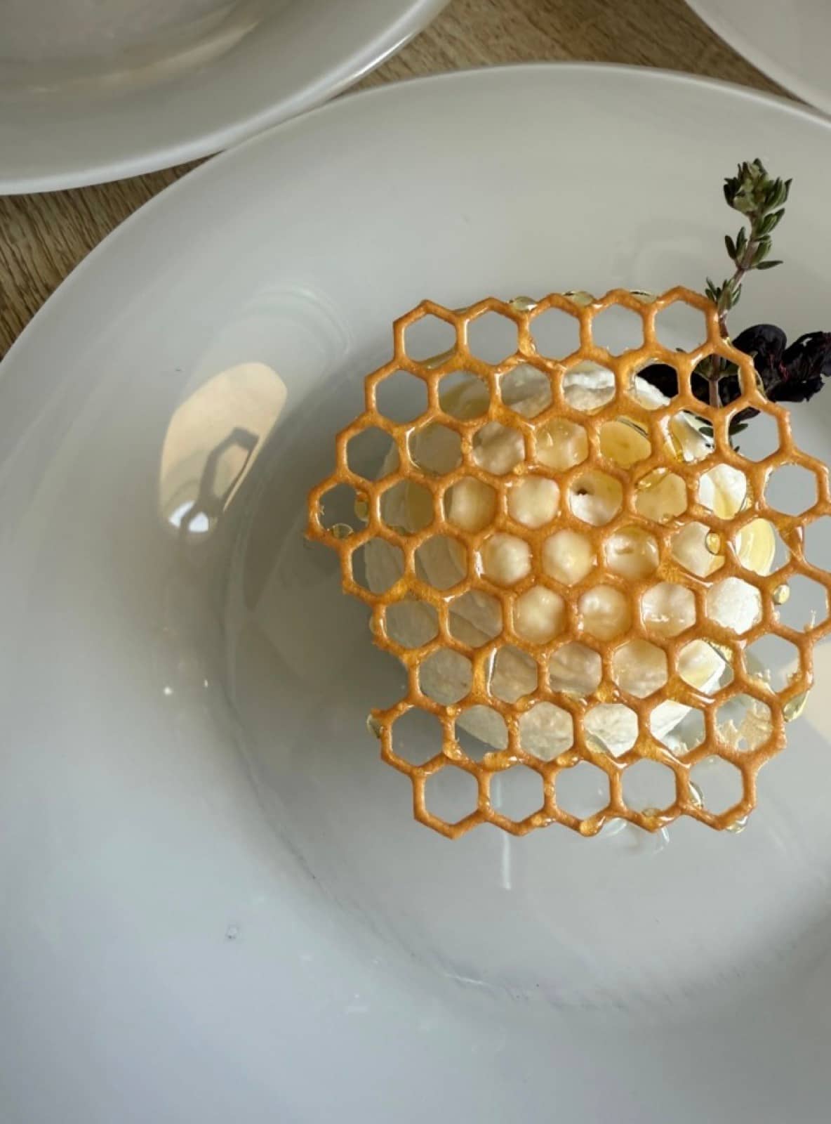 A sugar lattice over cream, a drop of honey.
